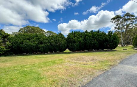 Dog Friendly Cabins - Stanthorpe Holiday Park - Accommodation - Camping - Offgrid